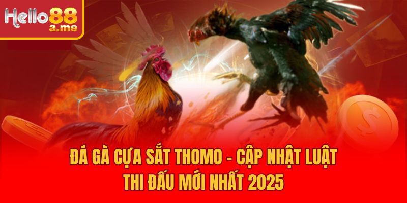 Đá Gà Cựa Sắt Thomo - Cập Nhật Luật Thi Đấu Mới Nhất 2025