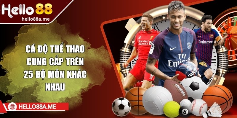 Cá độ thể thao cung cấp trên 25 bộ môn khác nhau