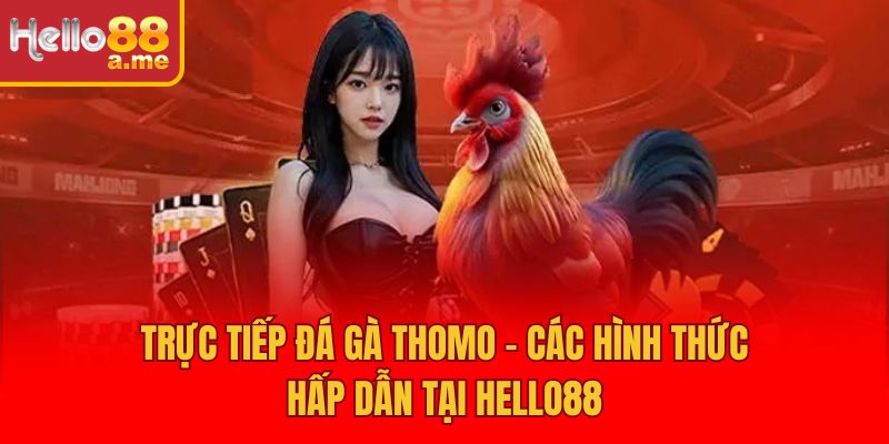 Trực Tiếp Đá Gà Thomo - Các Hình Thức Hấp Dẫn Tại Hello88